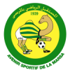 Team logo
